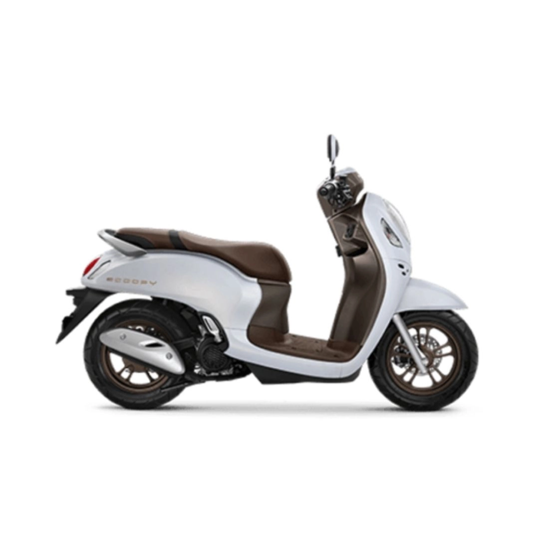 Honda Scoopy 24 Basic