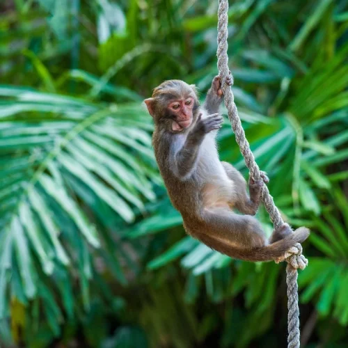 Bali 6 Tage Essentials